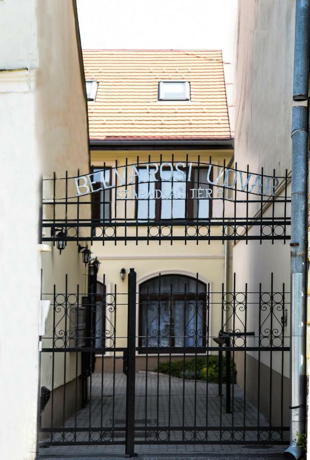 Centrum Apartman Cegled Bagian luar foto